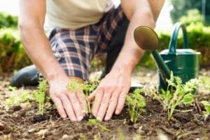 Recycle Barang Bekas untuk Wadah Berkebun yang Estetis